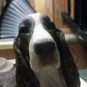 Meet your Posher, Sharon